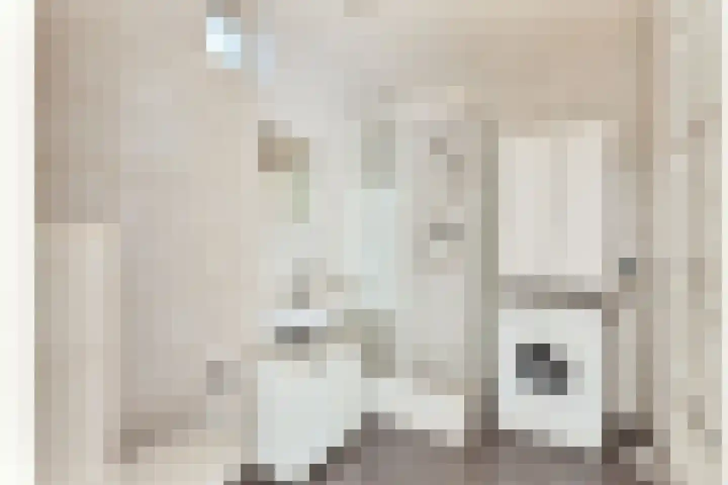 1e Daalsedijk 300 Utrecht thumbnail 12