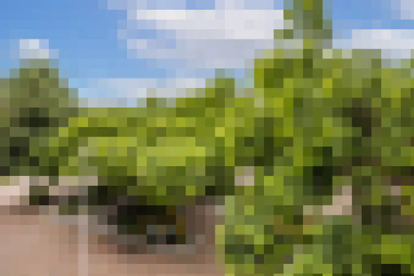 1e Daalsedijk 300 Utrecht thumbnail 14