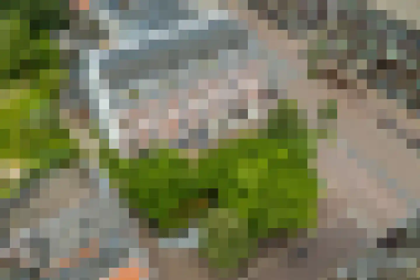 1e Daalsedijk 300 Utrecht thumbnail 15