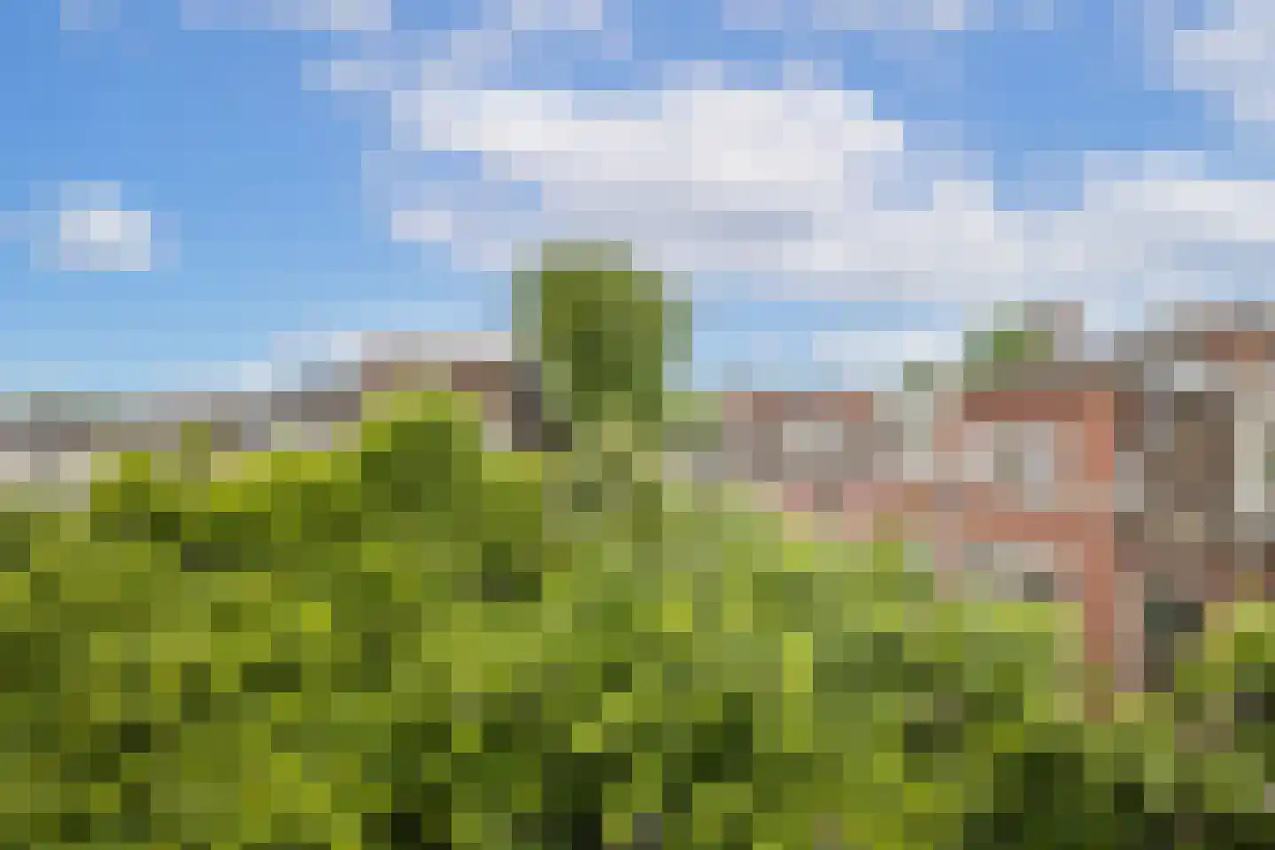 1e Daalsedijk 300 Utrecht thumbnail 19