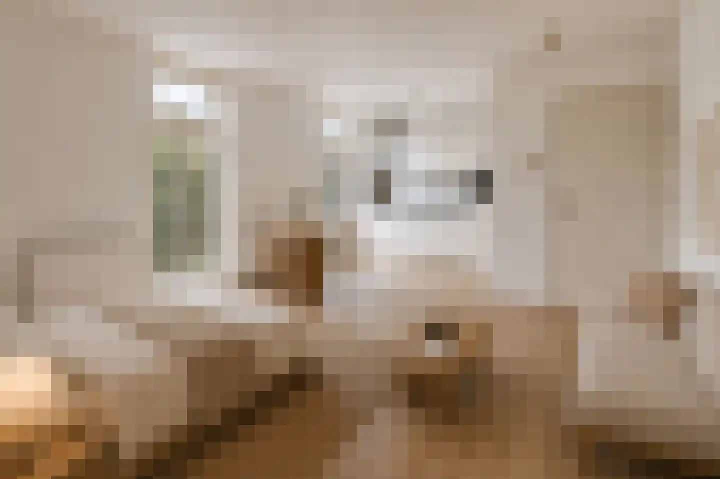 1e Daalsedijk 300 Utrecht thumbnail 4