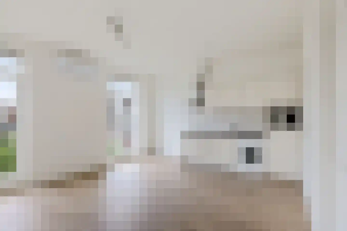 1e Daalsedijk 300 Utrecht thumbnail 9