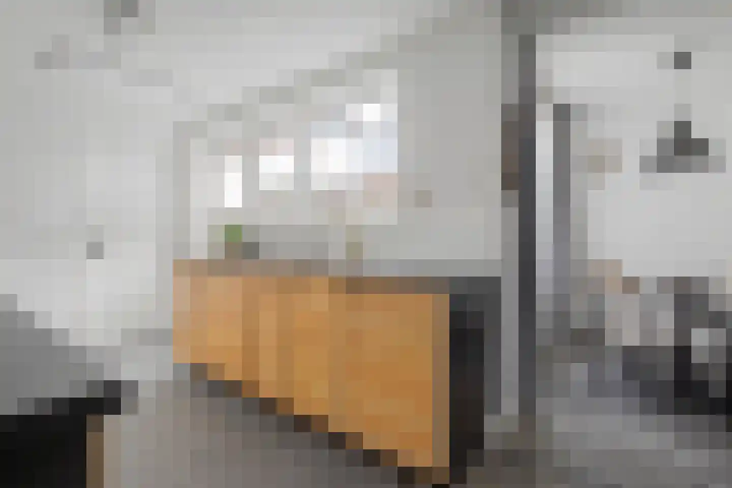 1e de Kortestraat 4 Terneuzen thumbnail 11