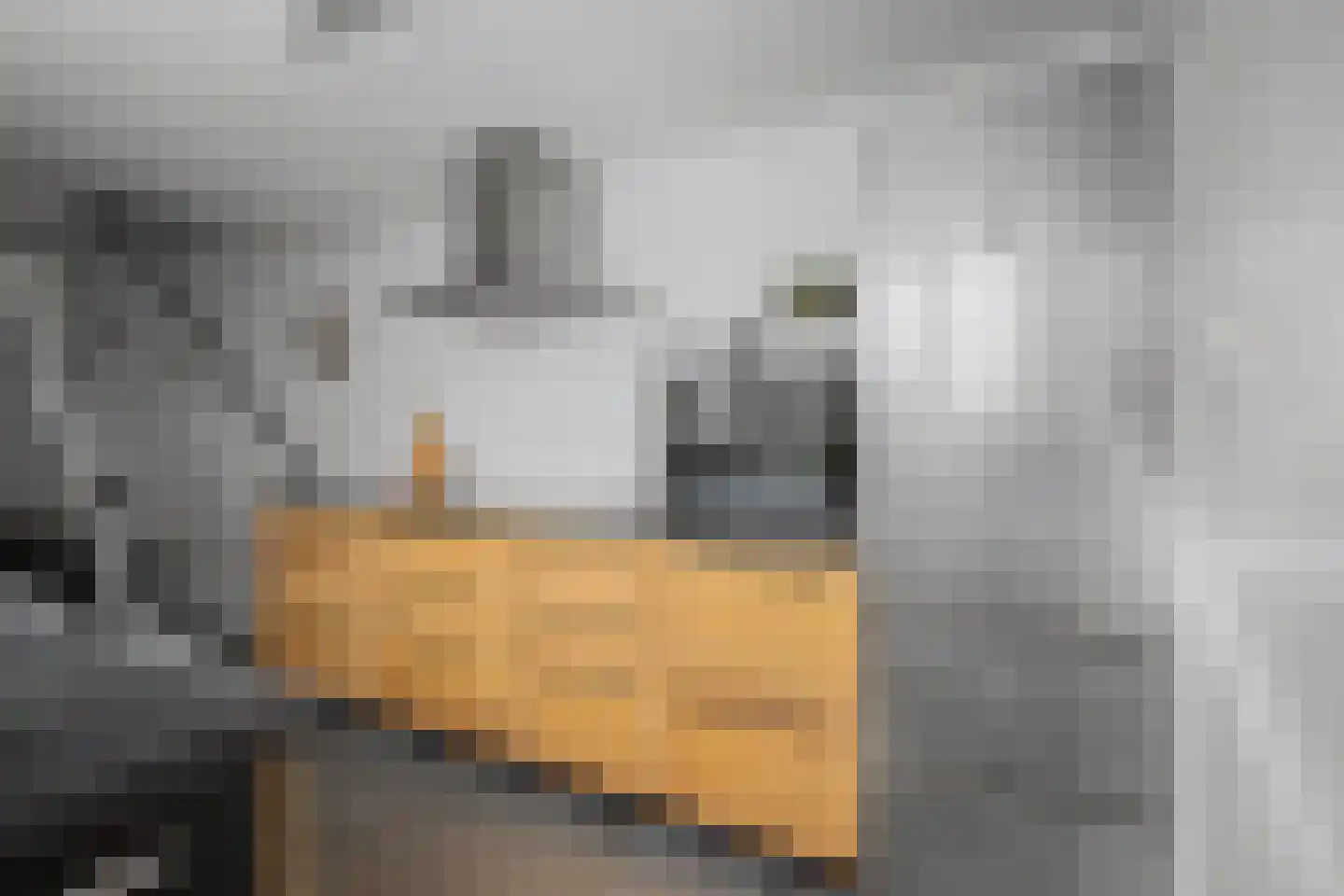 1e de Kortestraat 4 Terneuzen thumbnail 12