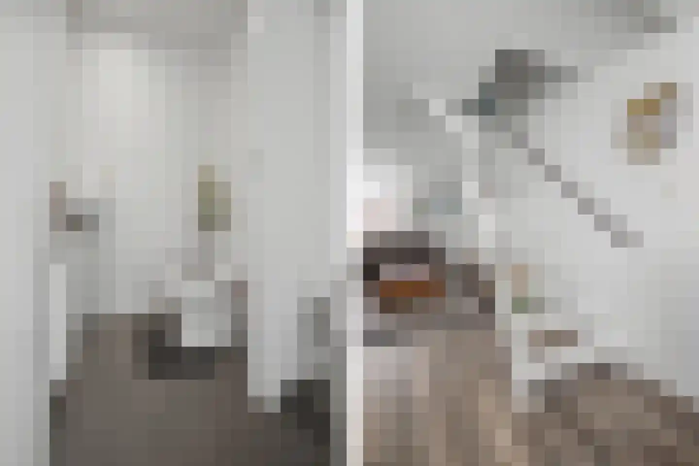 1e de Kortestraat 4 Terneuzen thumbnail 18