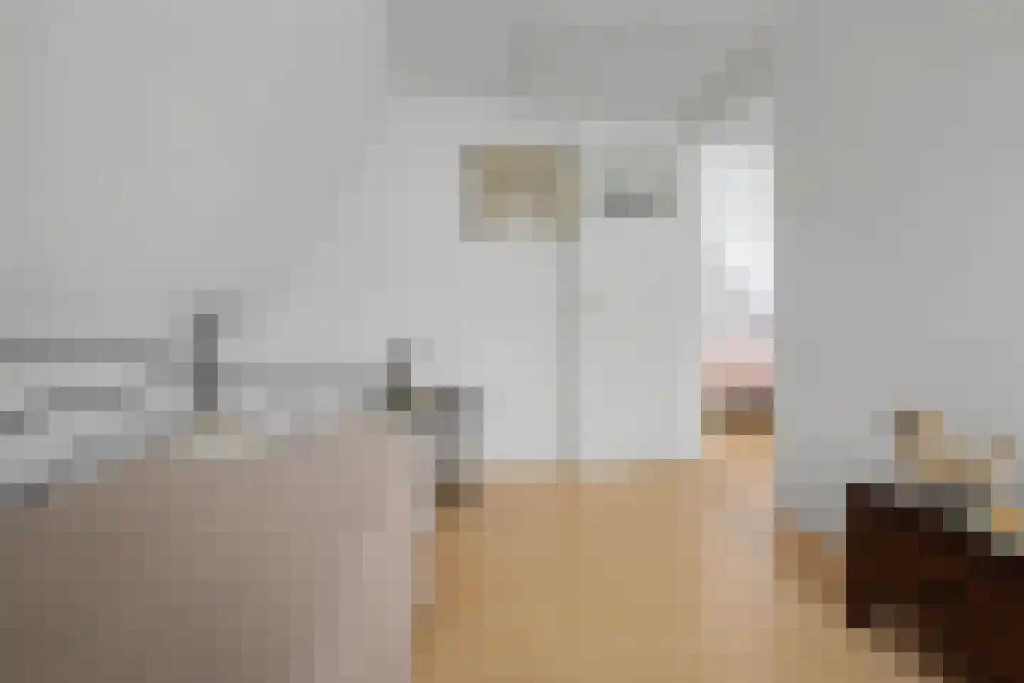 1e de Kortestraat 4 Terneuzen thumbnail 23