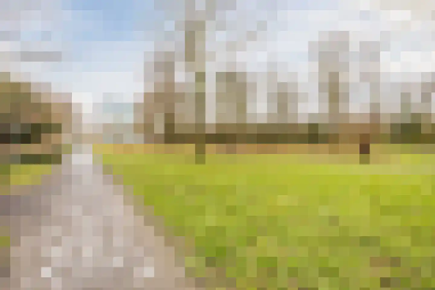 1e de Kortestraat 4 Terneuzen thumbnail 30