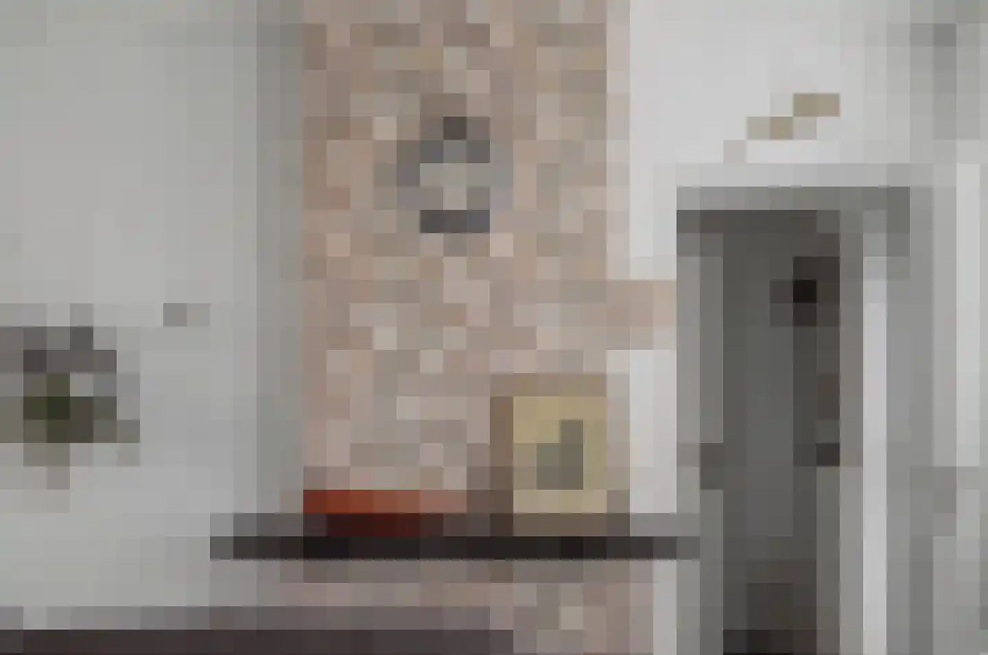 1e de Kortestraat 4 Terneuzen thumbnail 8