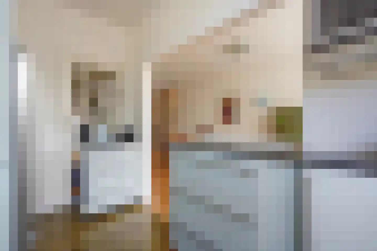 1e De Riemerstraat 12 Den Haag thumbnail 19