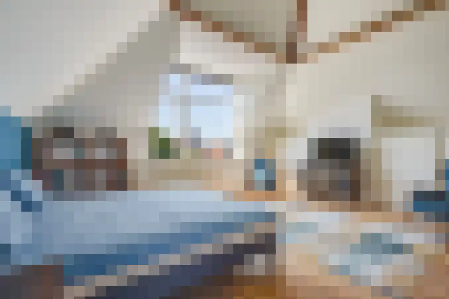 1e De Riemerstraat 12 Den Haag thumbnail 4