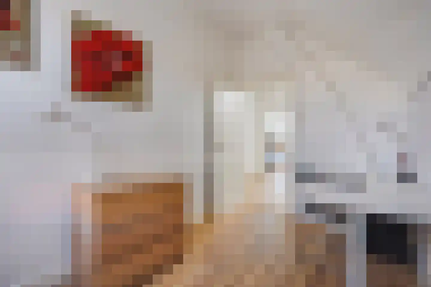 1e De Riemerstraat 12 Den Haag thumbnail 42
