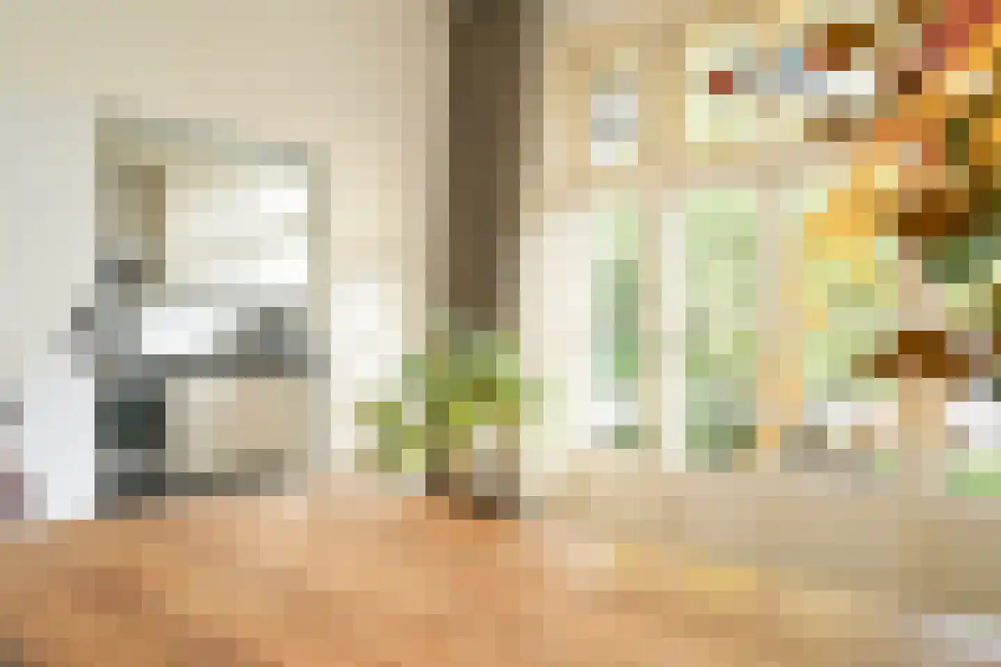 1e De Riemerstraat 15 Den Haag thumbnail 19