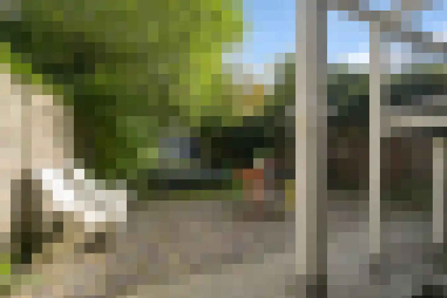 1e De Riemerstraat 15 Den Haag thumbnail 31