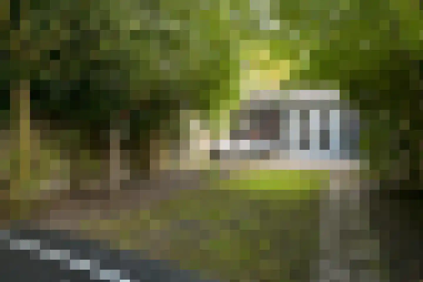 1e De Riemerstraat 15 Den Haag thumbnail 32