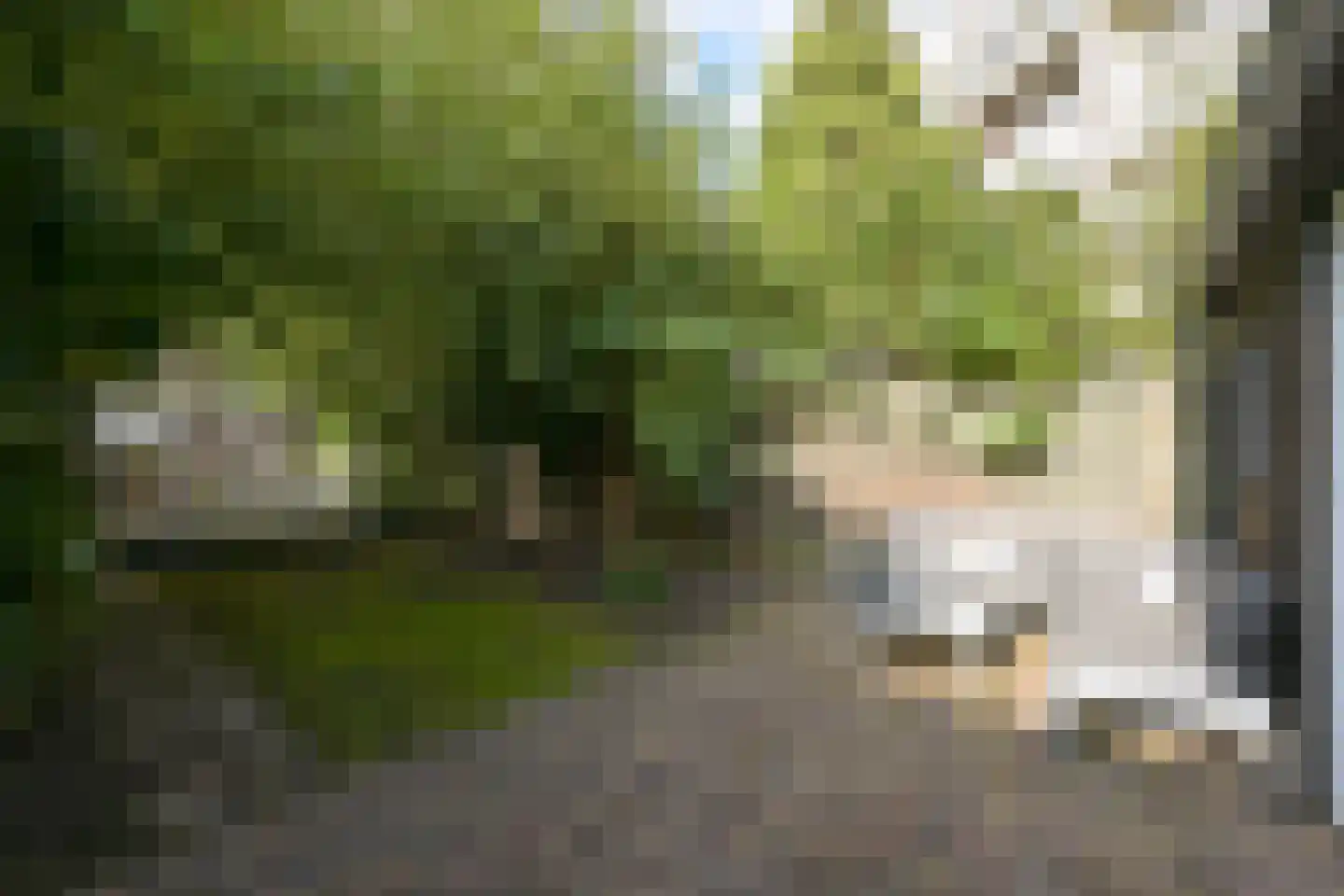 1e De Riemerstraat 15 Den Haag thumbnail 36