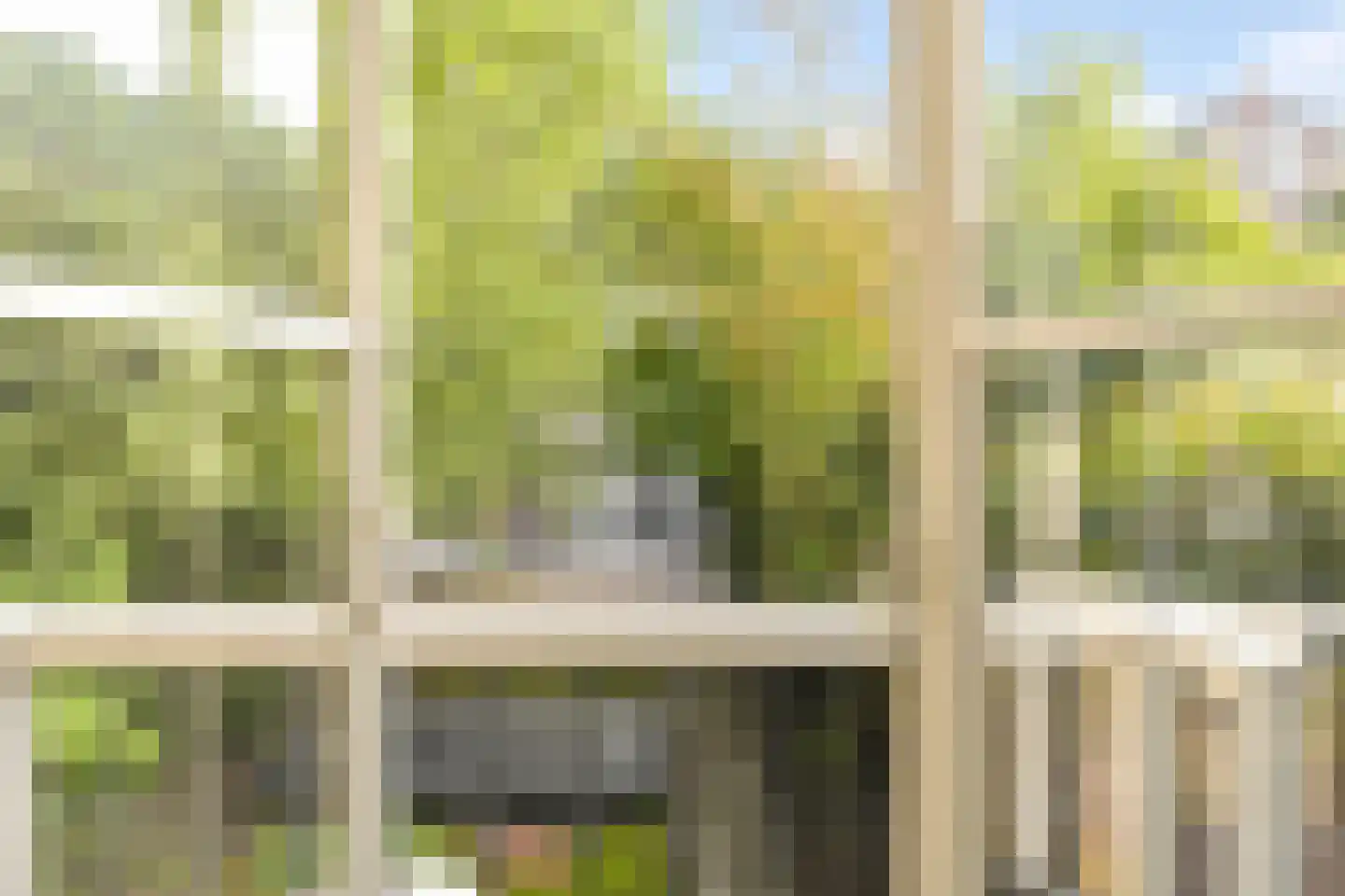 1e De Riemerstraat 15 Den Haag thumbnail 4