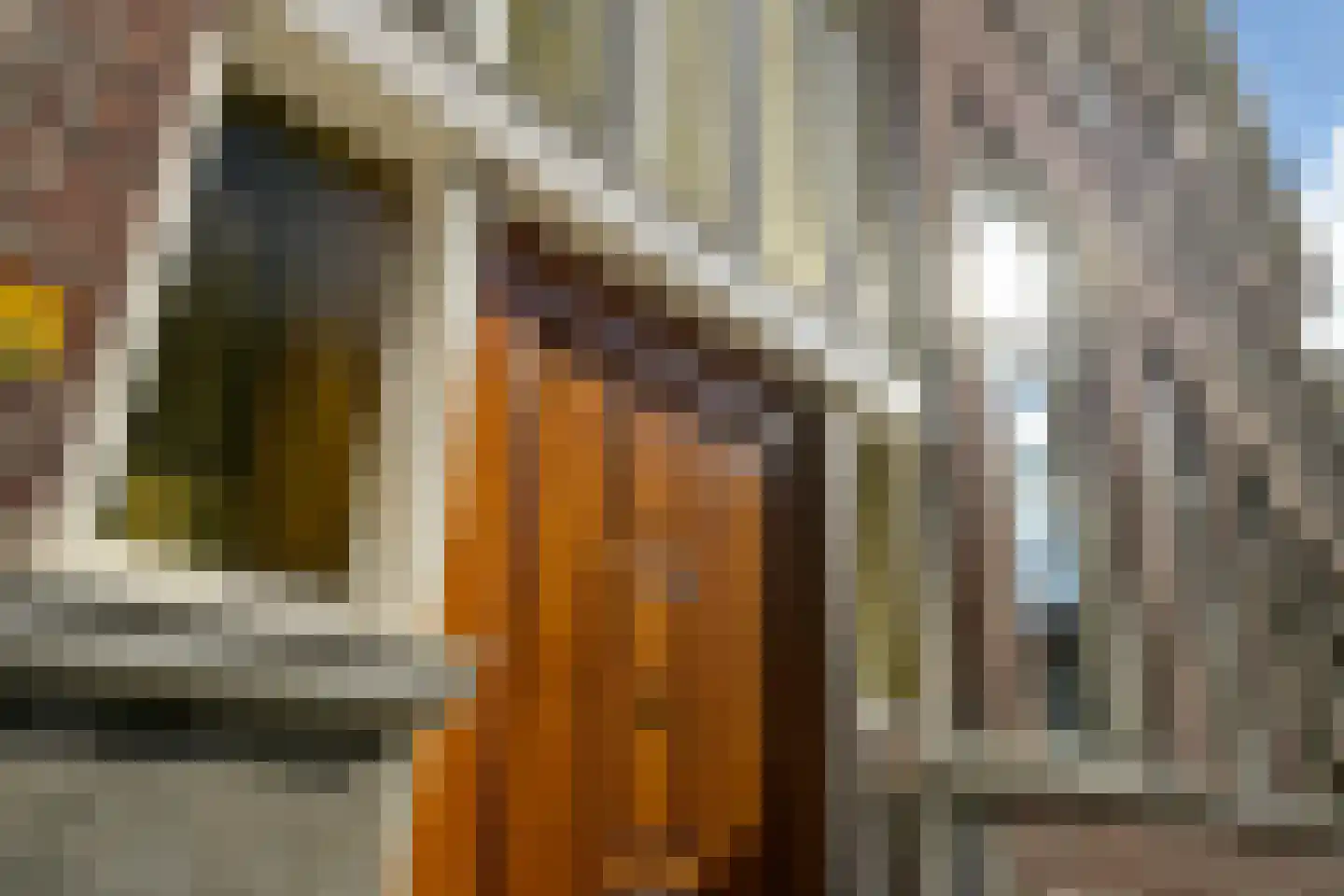 1e De Riemerstraat 15 Den Haag thumbnail 8