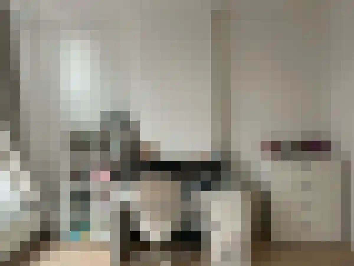 1e De Riemerstraat 44 Den Haag thumbnail 6