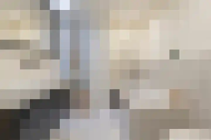 1e Delistraat 16 BS Utrecht thumbnail 32