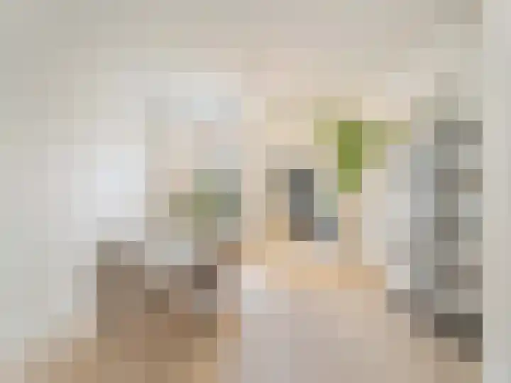1e Delistraat 21 Utrecht thumbnail 10
