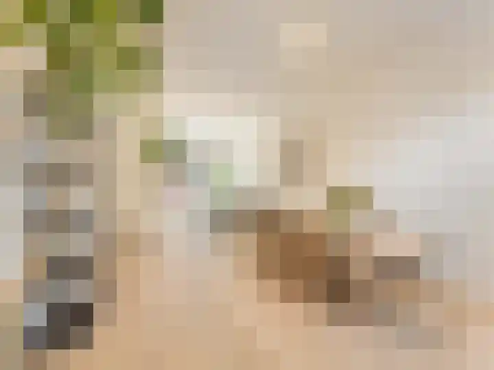 1e Delistraat 21 Utrecht thumbnail 13