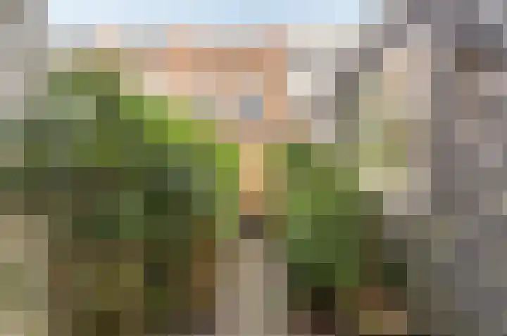 1e Delistraat 21 Utrecht thumbnail 6