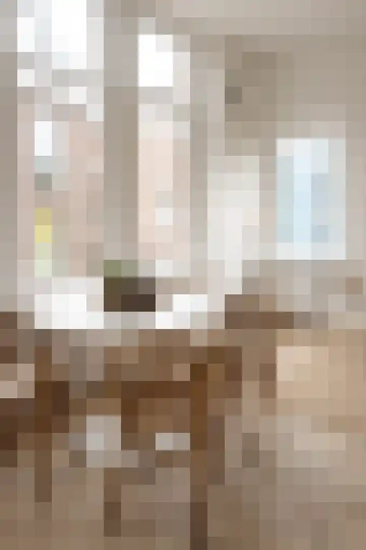 1e Dorpsstraat 12 B Zeist thumbnail 6