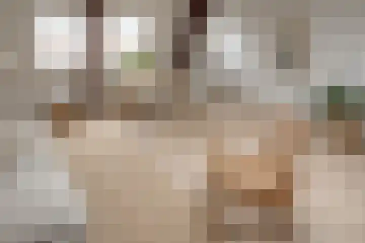 1e Dorpsstraat 12 C Zeist thumbnail 4