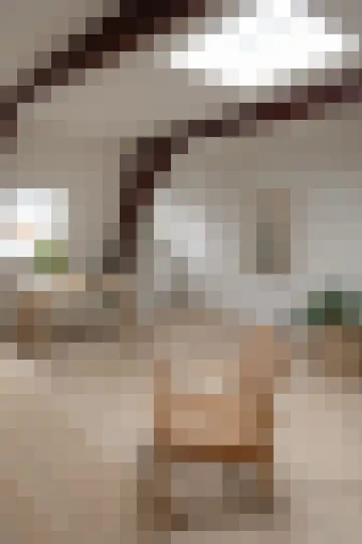 1e Dorpsstraat 12 C Zeist thumbnail 6