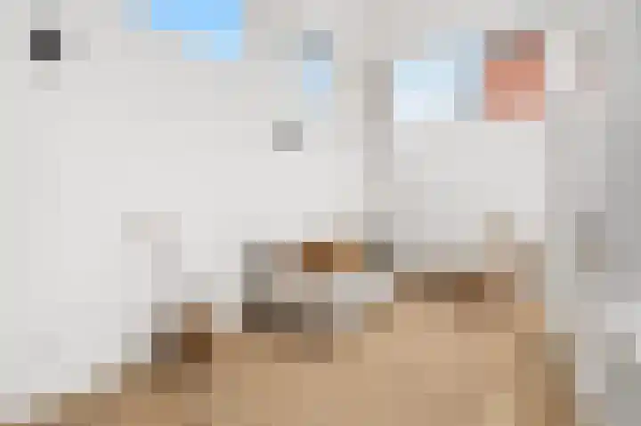 1e Dorpsstraat 14 A Zeist thumbnail 5