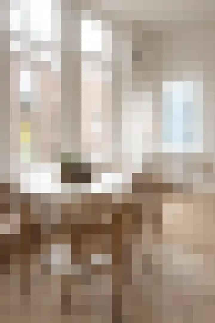 1e Dorpsstraat 14 B Zeist thumbnail 6