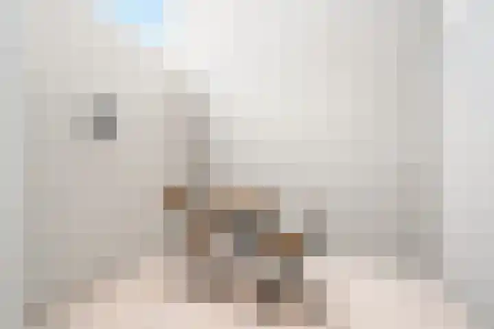 1e Dorpsstraat 14 Zeist thumbnail 16