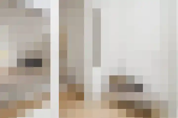 1e Dorpsstraat 14 Zeist thumbnail 18