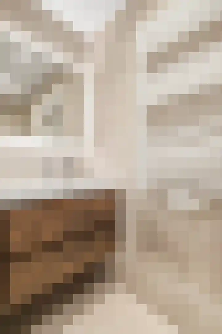 1e Dorpsstraat 14 Zeist thumbnail 21
