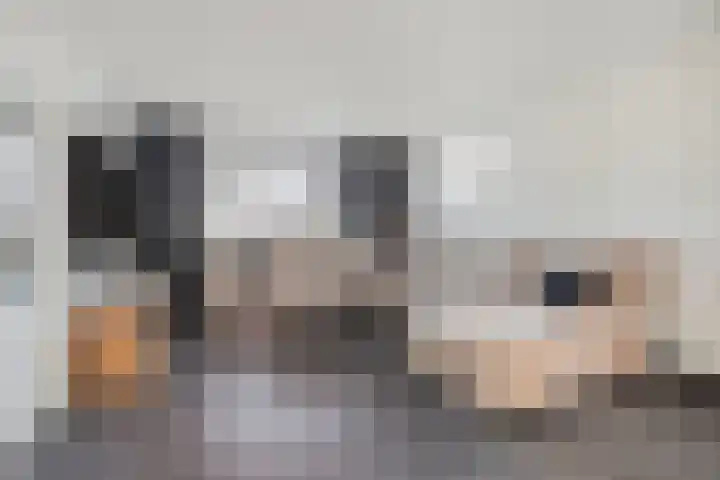 1e Dwarsweg 4 Gennep thumbnail 11