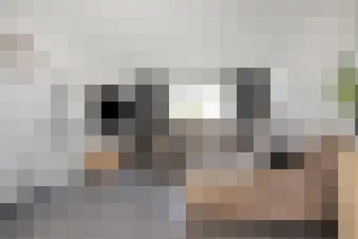 1e Dwarsweg 4 Gennep thumbnail 12