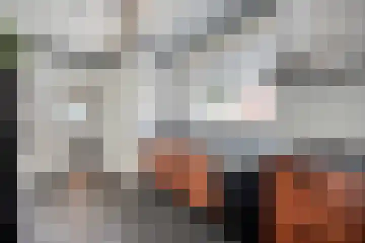 1e Dwarsweg 4 Gennep thumbnail 18