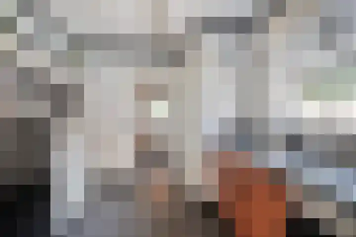 1e Dwarsweg 4 Gennep thumbnail 19