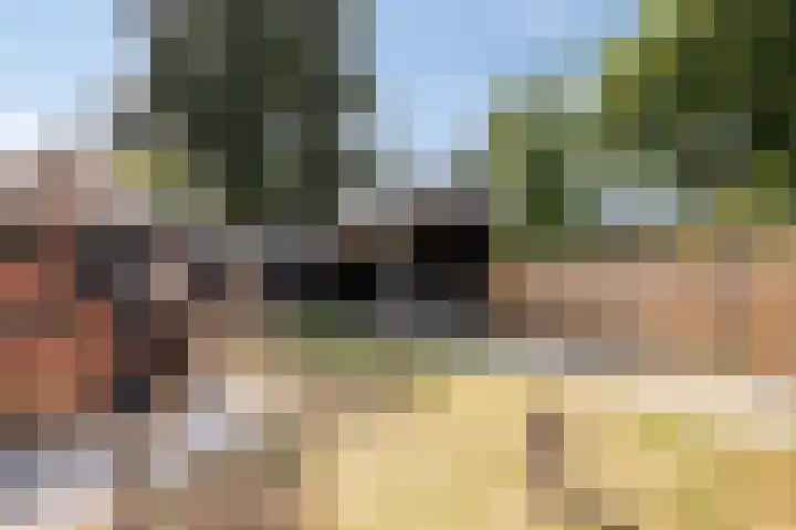 1e Dwarsweg 4 Gennep thumbnail 35