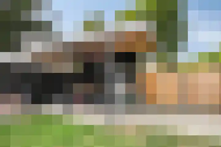 1e Dwarsweg 4 Gennep thumbnail 36