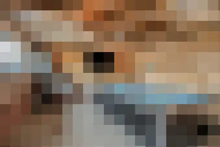 1e Dwarsweg 4 Gennep thumbnail 40