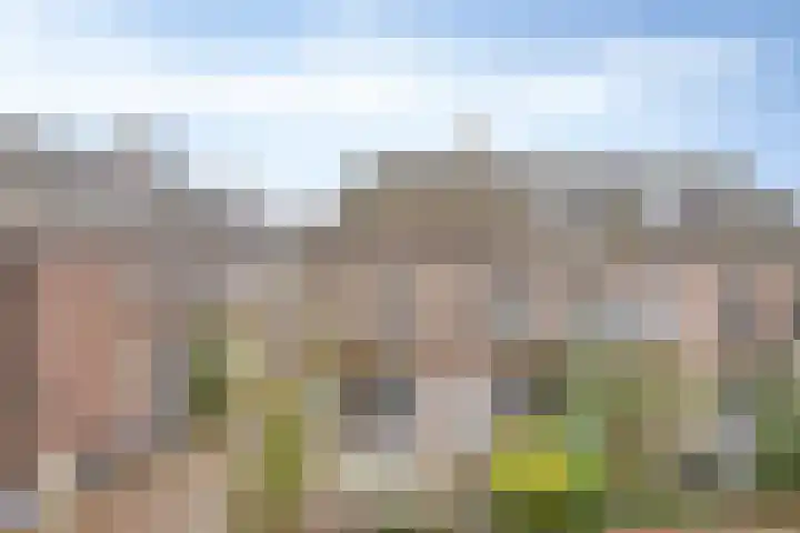 1e Ebbingestraat 26 Kampen thumbnail 6