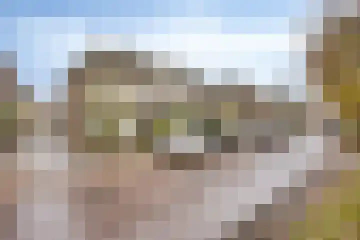 1e Ebbingestraat 26 Kampen thumbnail 9