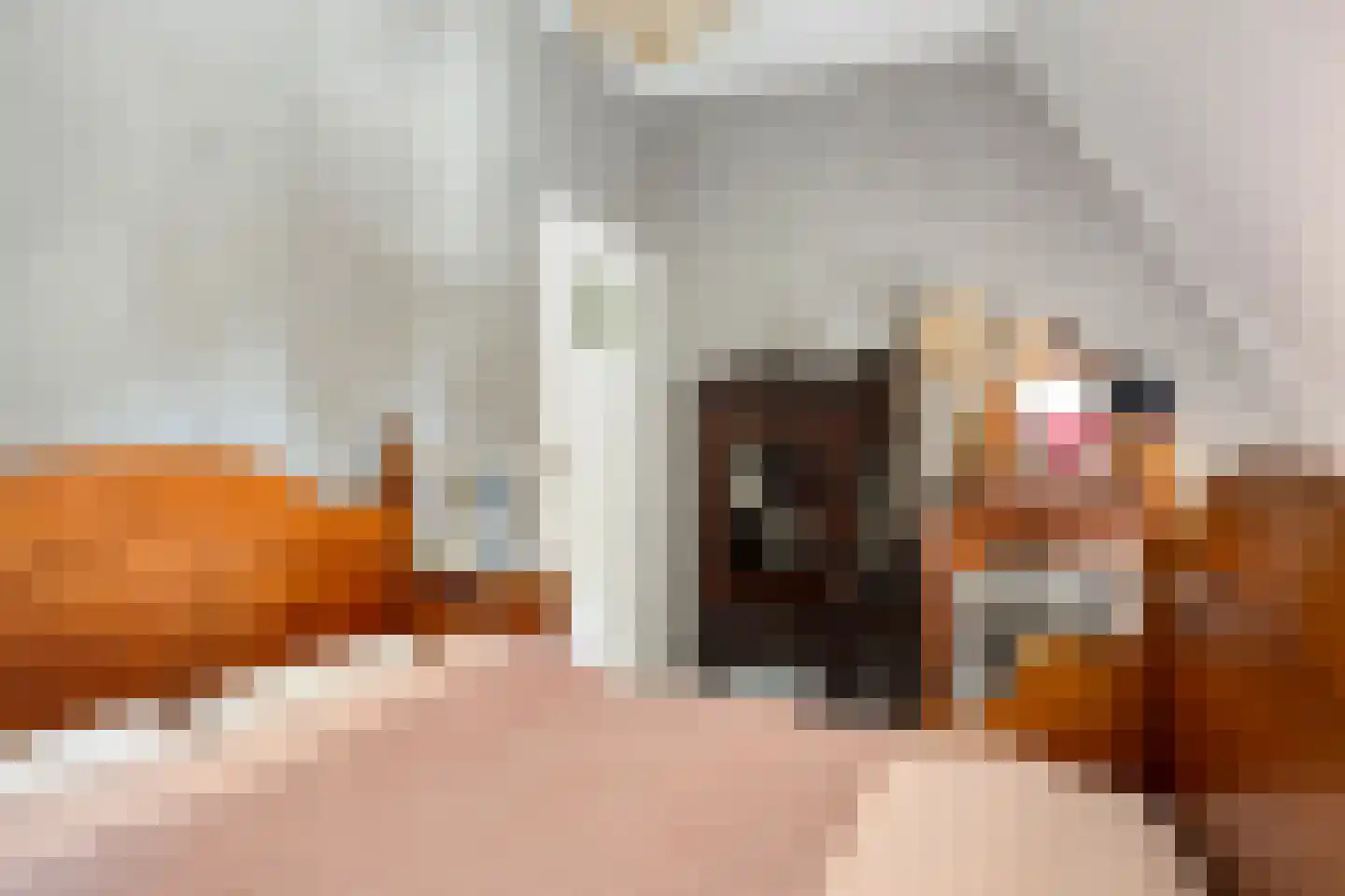 1e Ebbingestraat 32 Kampen thumbnail 21