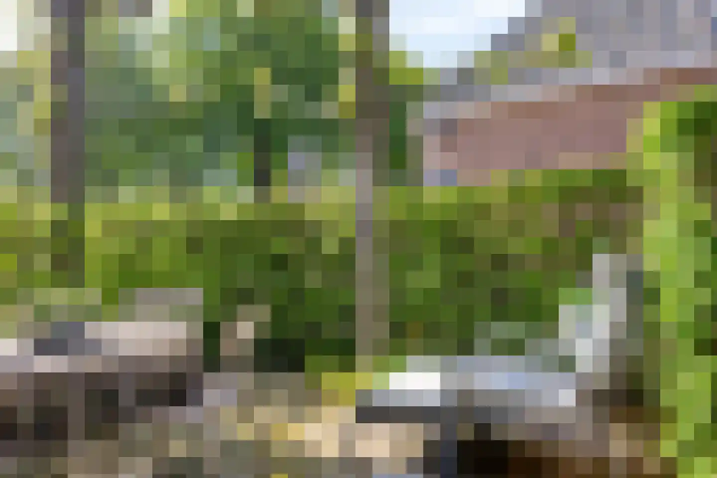 1e Ebbingestraat 32 Kampen thumbnail 32