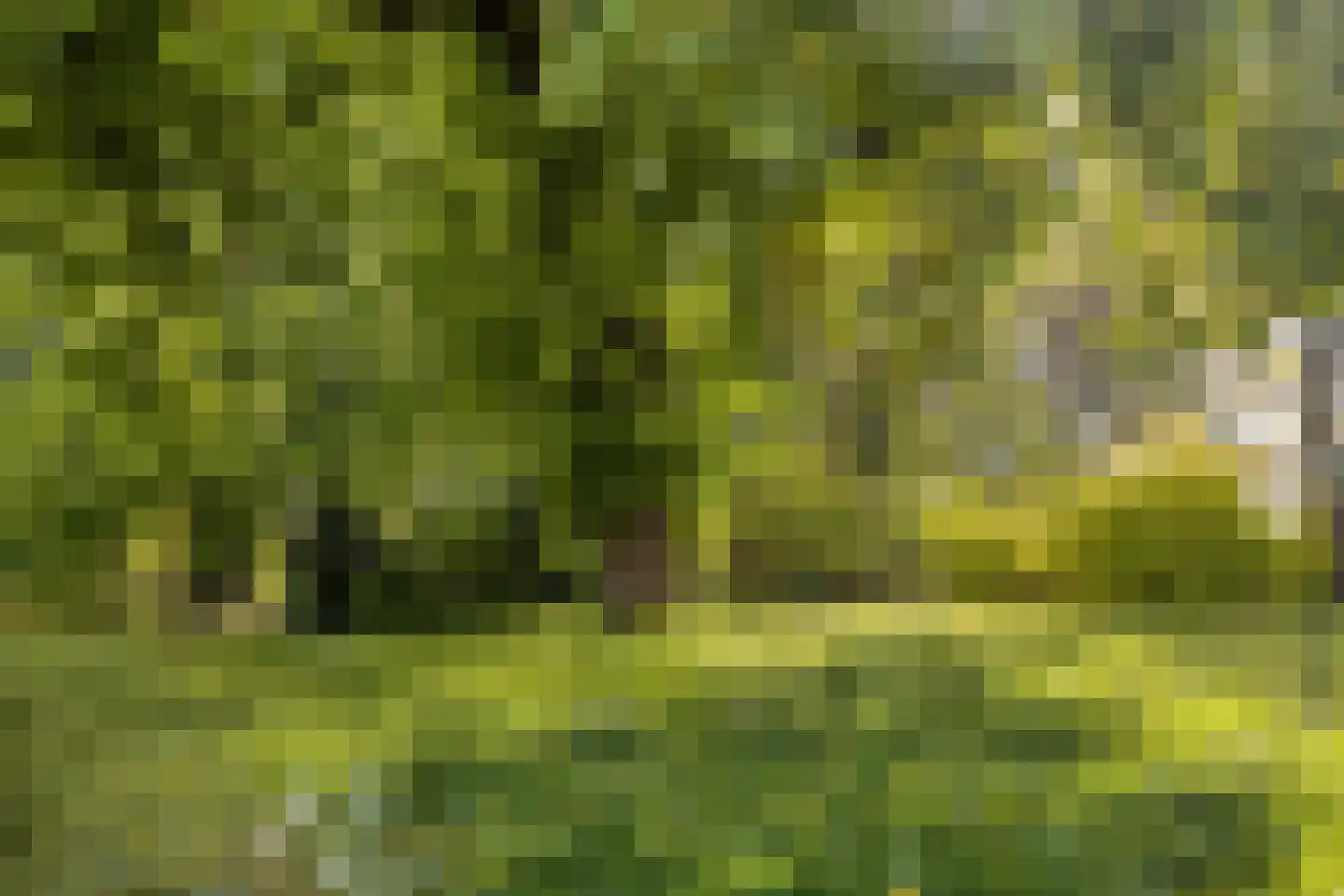1e Ebbingestraat 32 Kampen thumbnail 33