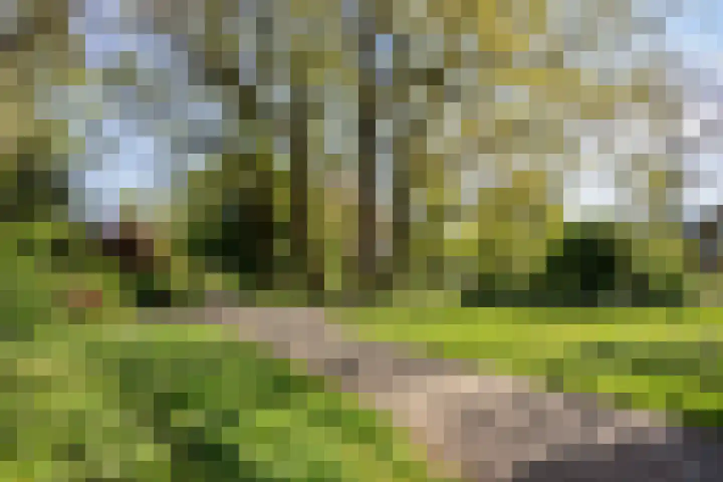 1e Ebbingestraat 32 Kampen thumbnail 34