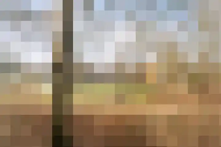 1e Ebbingestraat 38 Kampen thumbnail 5