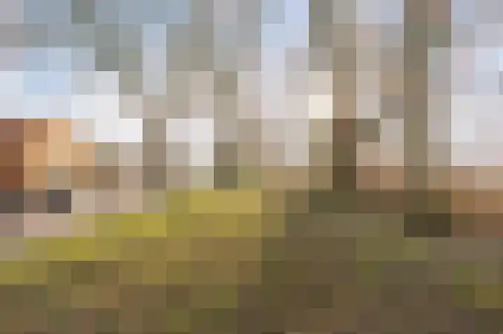 1e Ebbingestraat 38 Kampen thumbnail 9