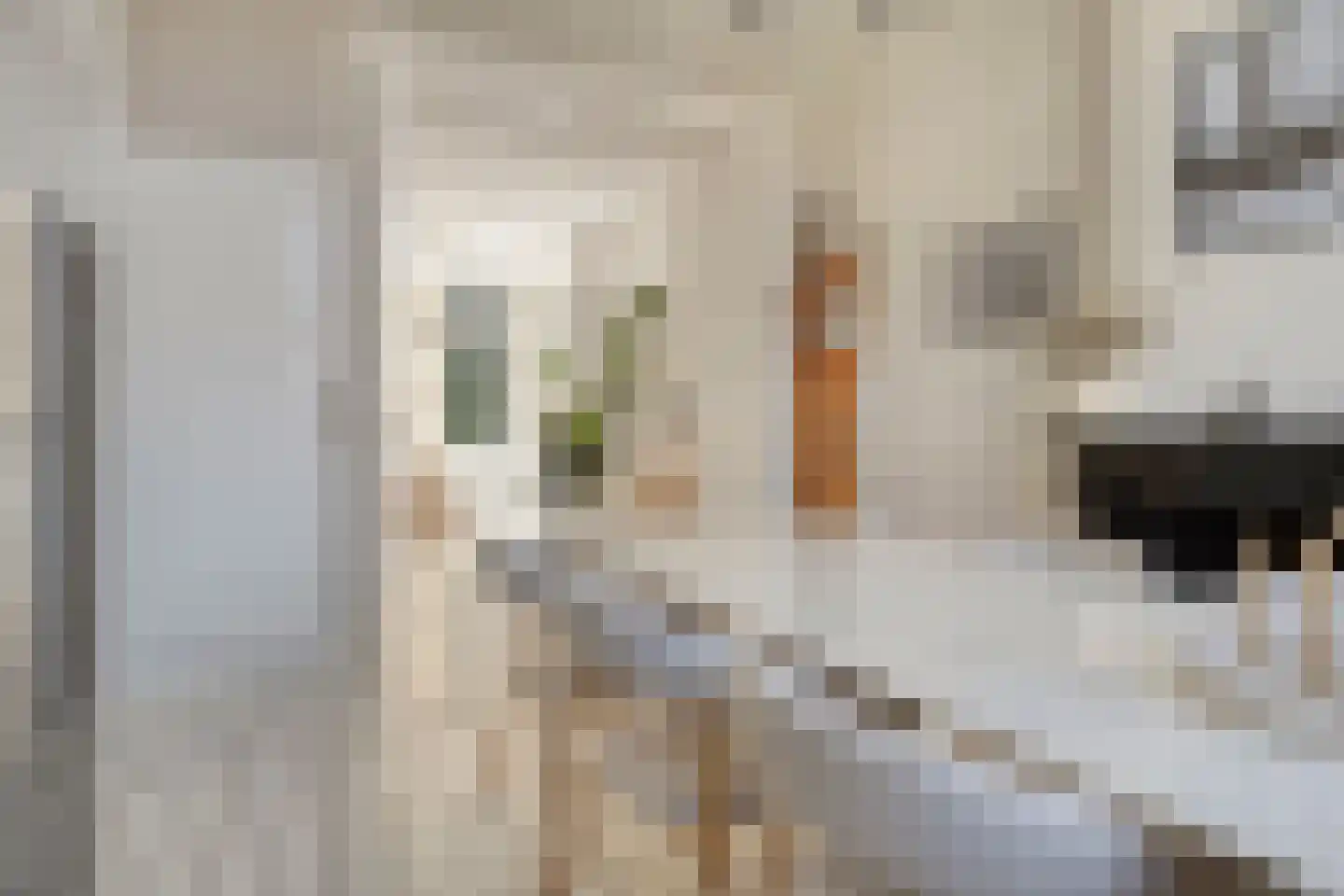 1e Ebbingestraat 39 I Kampen thumbnail 15